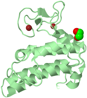 Image Biological Unit 2