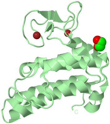 Image Biological Unit 2