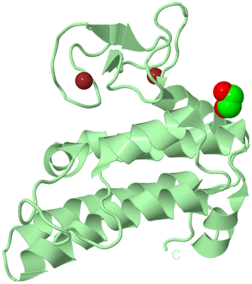 Image Biological Unit 2