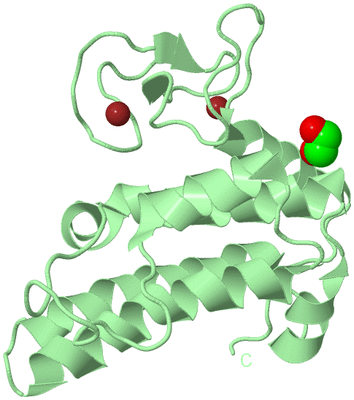 Image Biological Unit 2