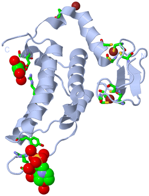 Image Biol. Unit 1 - sites