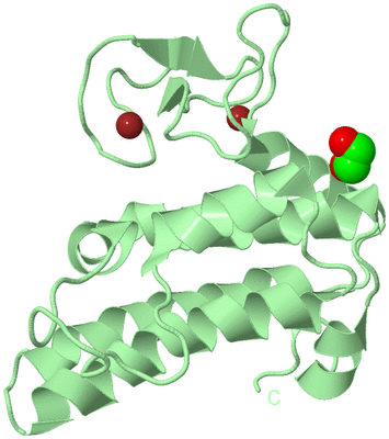 Image Biological Unit 2