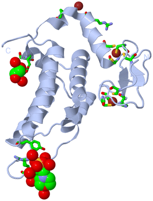 Image Biol. Unit 1 - sites