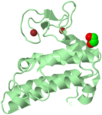 Image Biological Unit 2