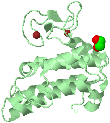 Image Biological Unit 2