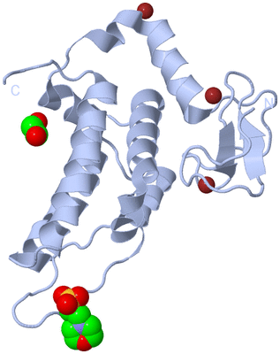 Image Biological Unit 1