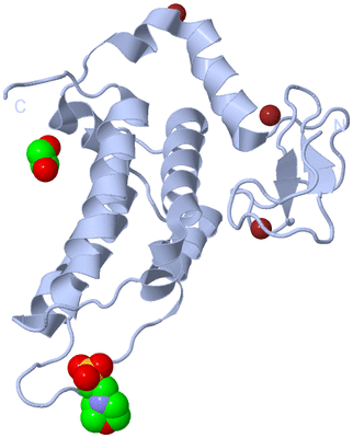 Image Biological Unit 1