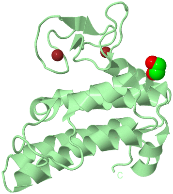 Image Biological Unit 2