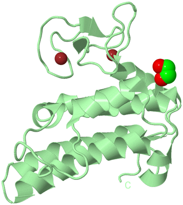 Image Biological Unit 2