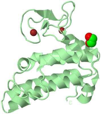 Image Biological Unit 2