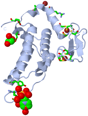 Image Biol. Unit 1 - sites