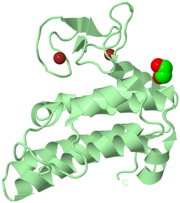 Image Biological Unit 2