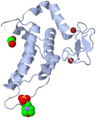 Image Biological Unit 1