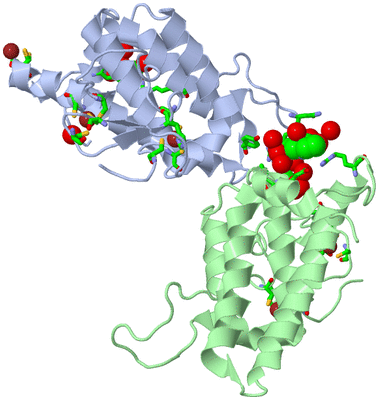 Image Asym. Unit - sites