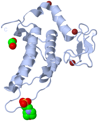 Image Biological Unit 1