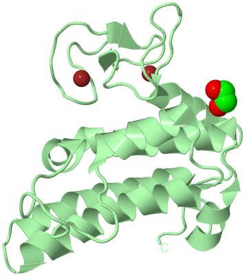 Image Biological Unit 2