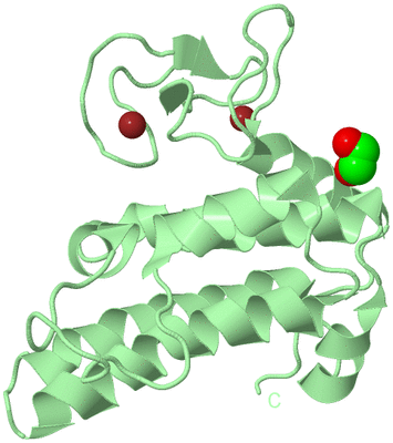 Image Biological Unit 2