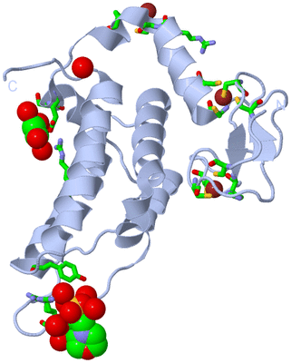 Image Biol. Unit 1 - sites