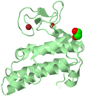 Image Biological Unit 2