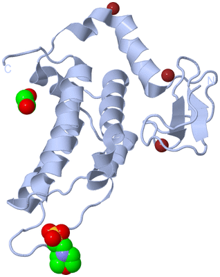 Image Biological Unit 1