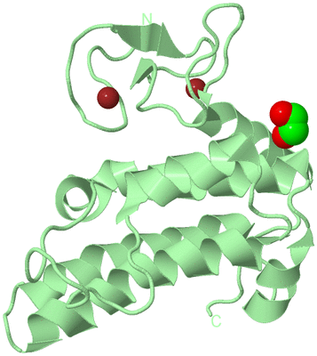 Image Biological Unit 2