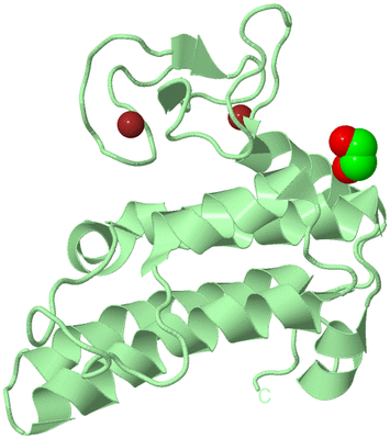 Image Biological Unit 2