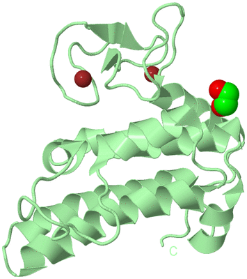 Image Biological Unit 2