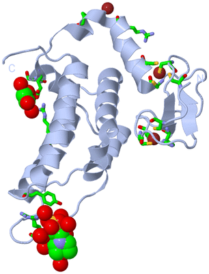 Image Biol. Unit 1 - sites