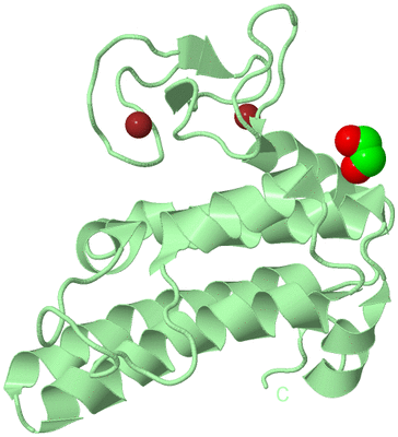 Image Biological Unit 2