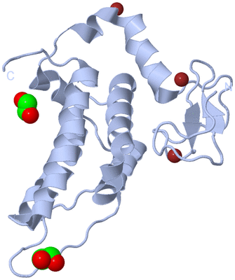 Image Biological Unit 1