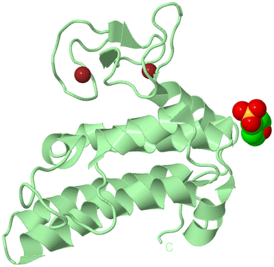 Image Biological Unit 2