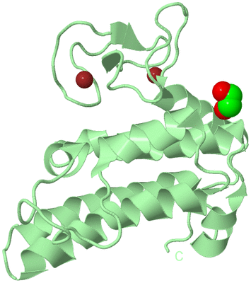 Image Biological Unit 2