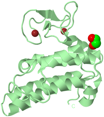 Image Biological Unit 2