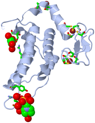 Image Biol. Unit 1 - sites