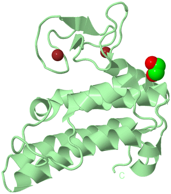 Image Biological Unit 2