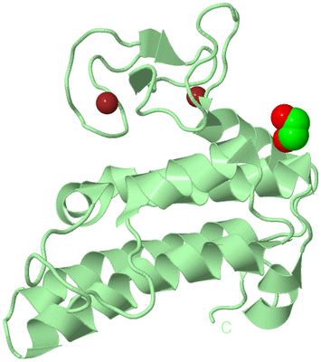 Image Biological Unit 2