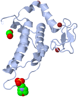 Image Biological Unit 1