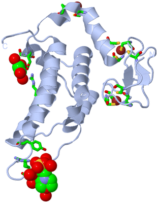 Image Biol. Unit 1 - sites