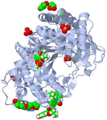 Image Biological Unit 1