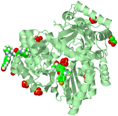 Image Biological Unit 2