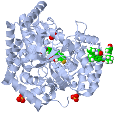 Image Biological Unit 1