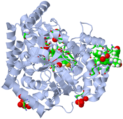 Image Biol. Unit 1 - sites