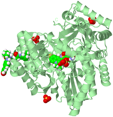 Image Biological Unit 2