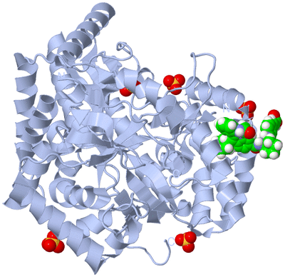 Image Biological Unit 1