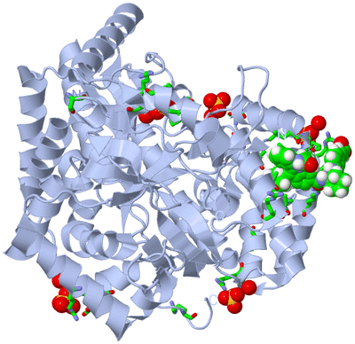 Image Biol. Unit 1 - sites