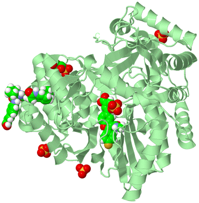 Image Biological Unit 2