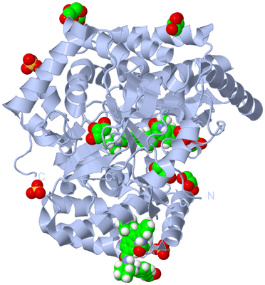 Image Biological Unit 1