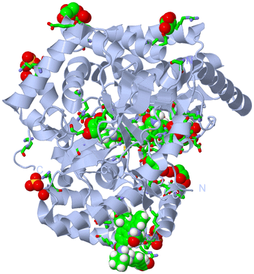 Image Biol. Unit 1 - sites