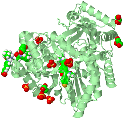 Image Biological Unit 2