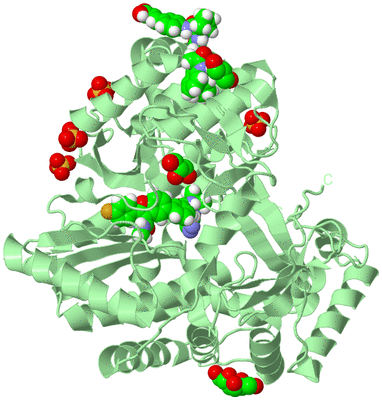 Image Biological Unit 2